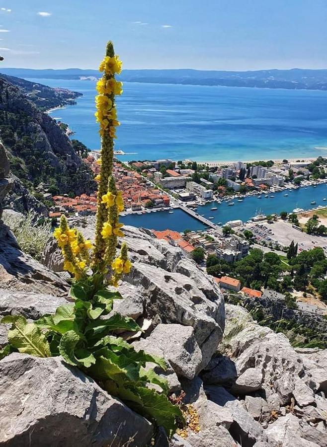 Amazing Sea View Lejlighed Omiš Eksteriør billede